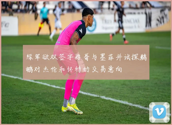 绿军欲双签字母哥与墨菲并试探鹈鹕对杰伦和怀特的交易意向